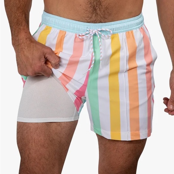 chubbies Other - Chubbies Pastel Striped Swim Trunks
